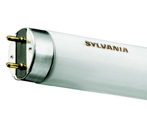 Sylvania Gt.Britain H Warm White Deluxe F15W/WWX 45 cm Neon Fluorescent Tube T26 