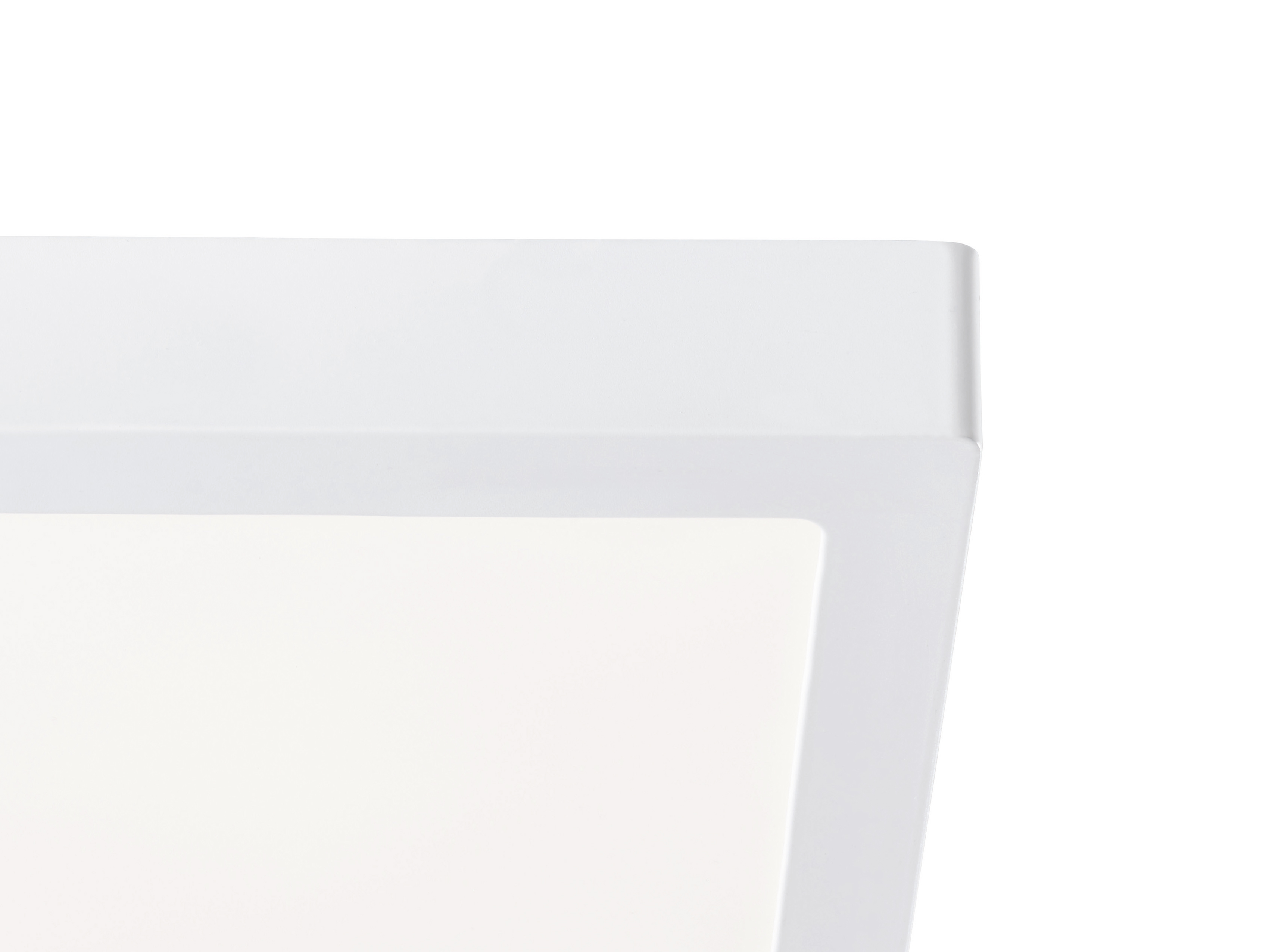 ZUEN Corde Lumineuse Batterie LED Cheval Light String IP44 imperm/éable /à leau Convient pour la d/écoration de Mur ext/érieur Chambre de Vacances Jardin Maison Chambre